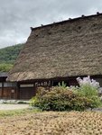 IMG_0588