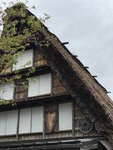 IMG_0596