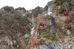 DSC02176
