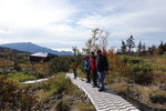 DSC02194