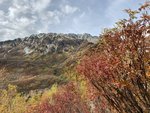 IMG_1305
