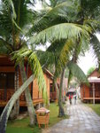 DSCN0756