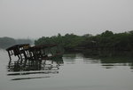 似唔似南生圍呢