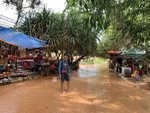 IMG_7811