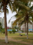 DSCN0880