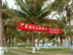 DSCN0883
