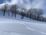 IMG_8767