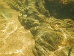 DSCN9793