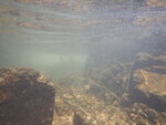 DSCN9794