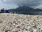 20200906_IMG_7451