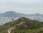 IMG_8328