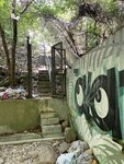 IMG_1612