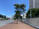 IMG_0221