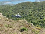 IMG_1159