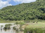 IMG_5479