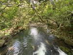 IMG_0204