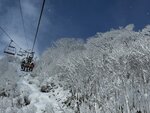 IMG_3915