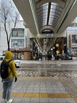 IMG_7427