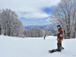 IMG_6153