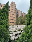 IMG_3594