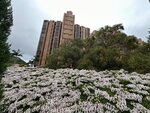IMG_3595