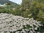 IMG_3597
