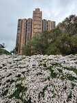 IMG_3599