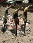 IMG_9601