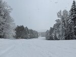 IMG_5011