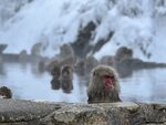 IMG_5141