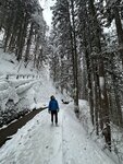 IMG_9961