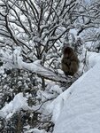 IMG_9970