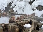 IMG_9974