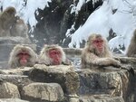 IMG_9979