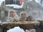 IMG_E9986