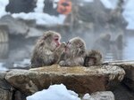 IMG_E9988