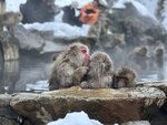IMG_E9989