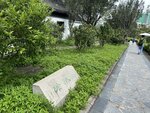 IMG_2679