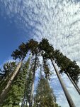 IMG_9792
