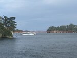 IMG_9804