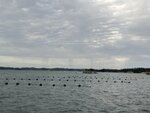 IMG_9839