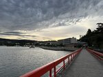 IMG_9855