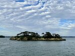 IMG_E9817