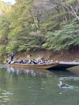 IMG_9917