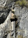 IMG_9937