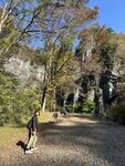 IMG_9944