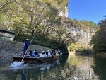 IMG_9956
