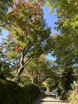 IMG_9976