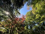IMG_9979