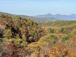 IMG_0183